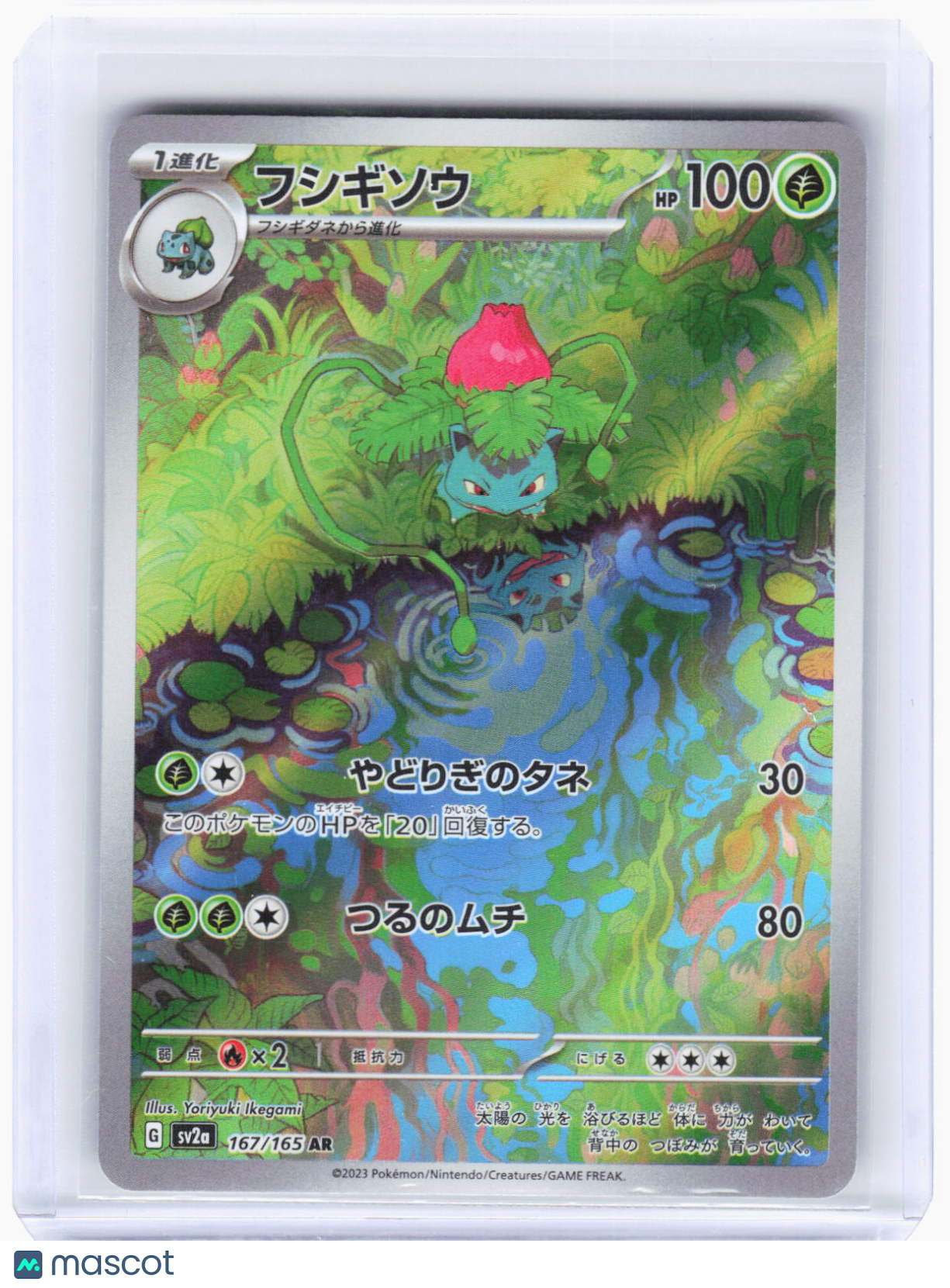 2023 —Ivysaur #167/165 AR SV2a: Pokemon Card 151—Art Rare Foil Japanese
