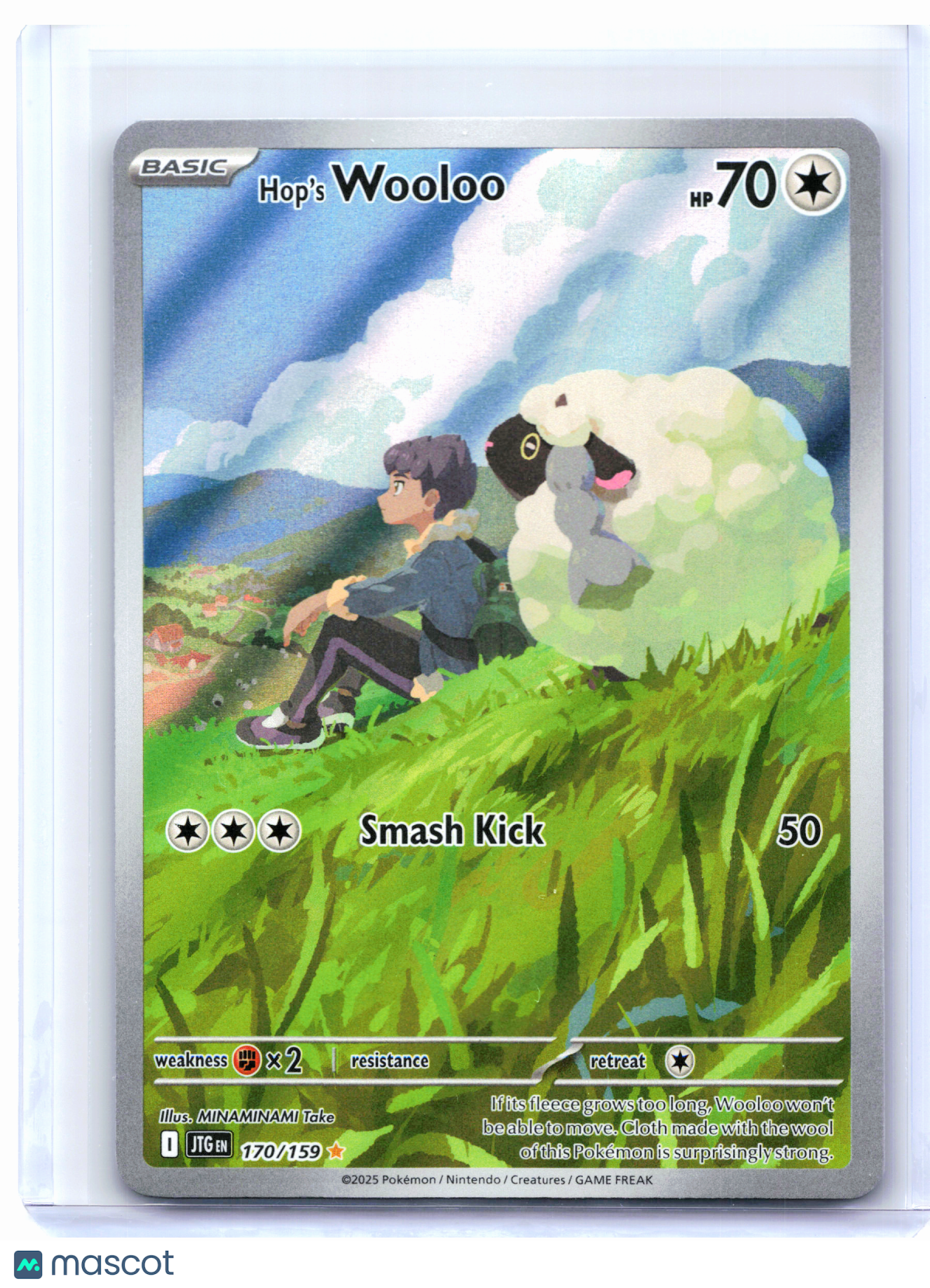 2025 Pokemon—Hop's Wooloo #170/159 Journey Together—Illustration Rare Holo