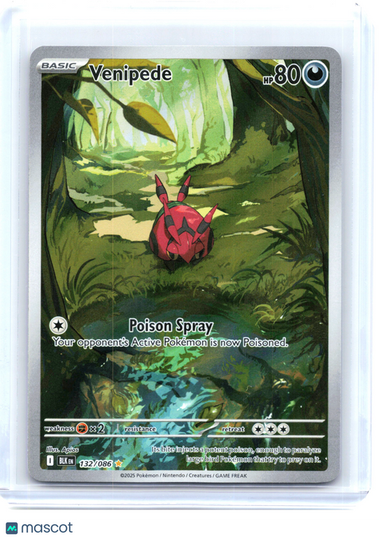 2025 Pokemon—Venipede #132 Black Bolt—Illustration Rare Holo