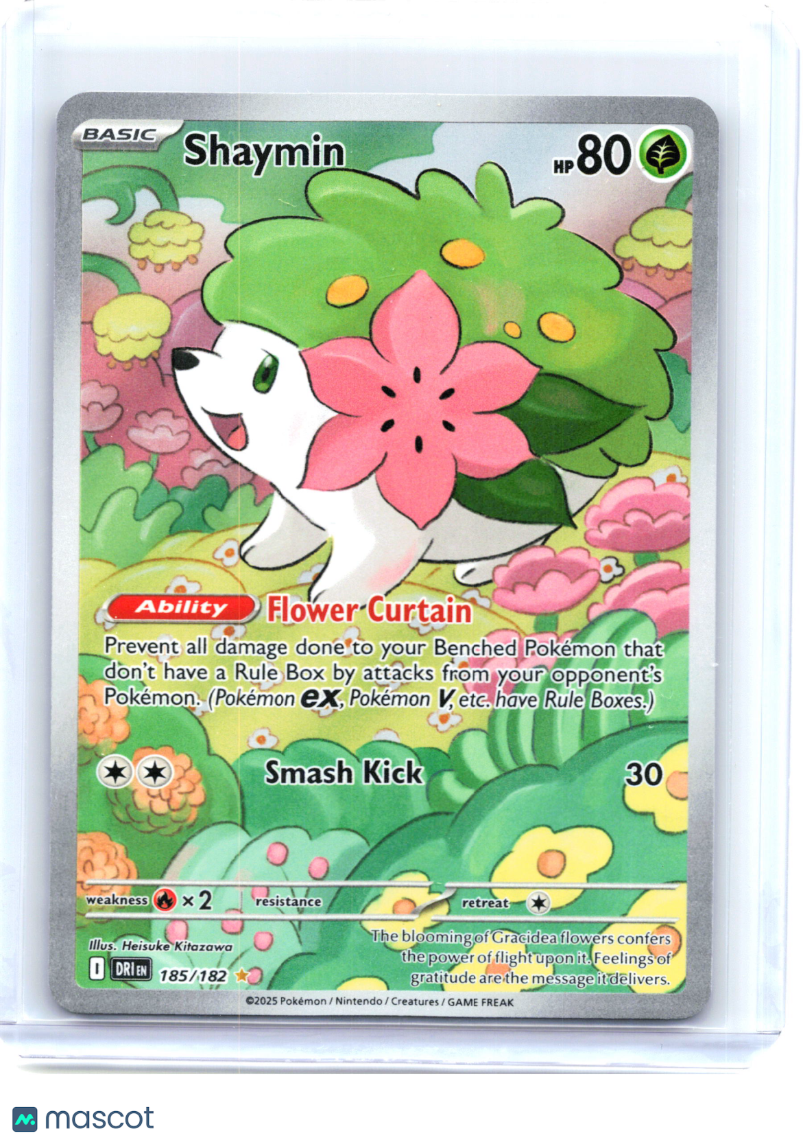 2025 Pokemon—Shaymin #185 Destined Rivals—Illustration Rare Holo