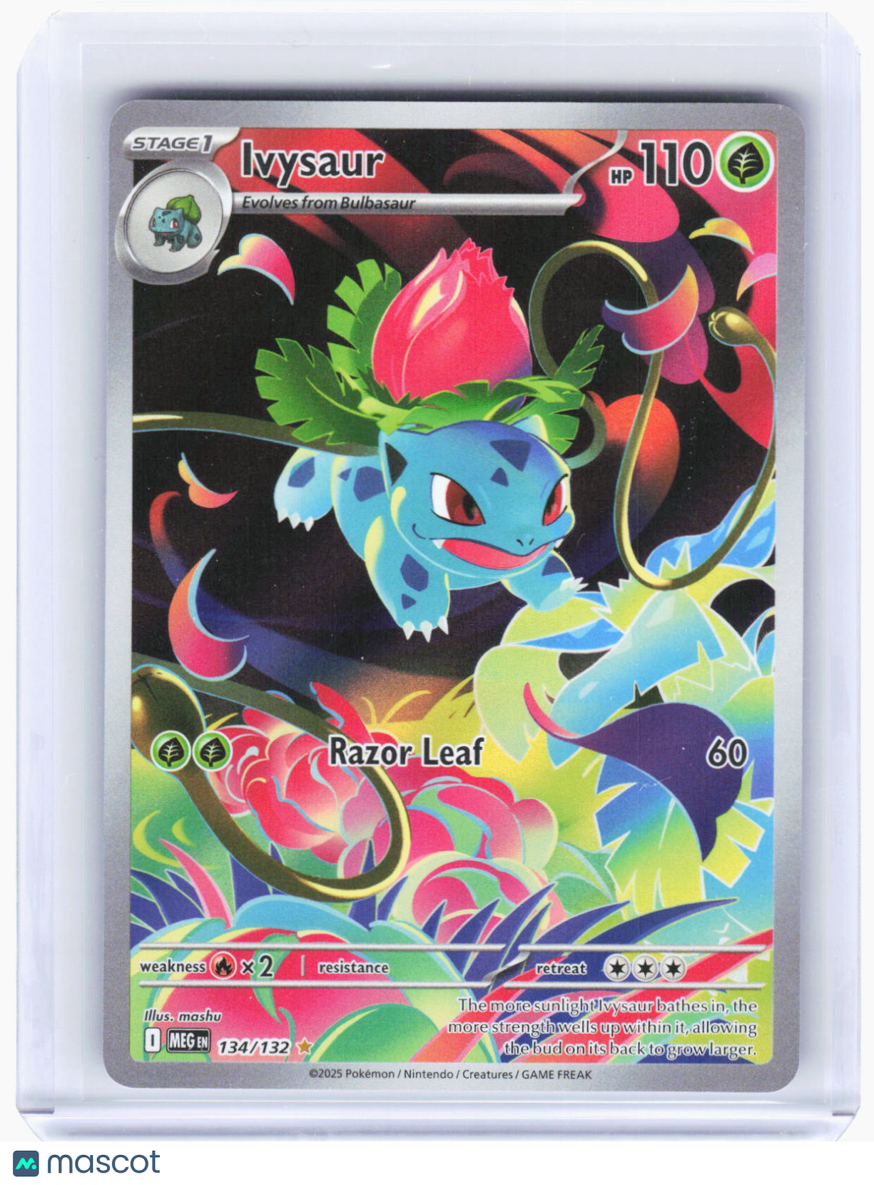 2025 Pokemon—Ivysaur #134/132 Mega Evolution—Illustration Rare Foil
