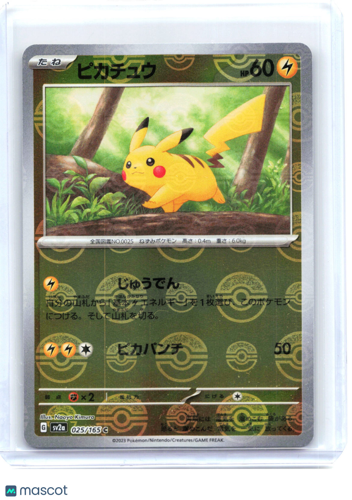 2023 —Pikachu #025 Pokemon Card 151—Common Reverse Holo JP (Poke Ball Pattern)
