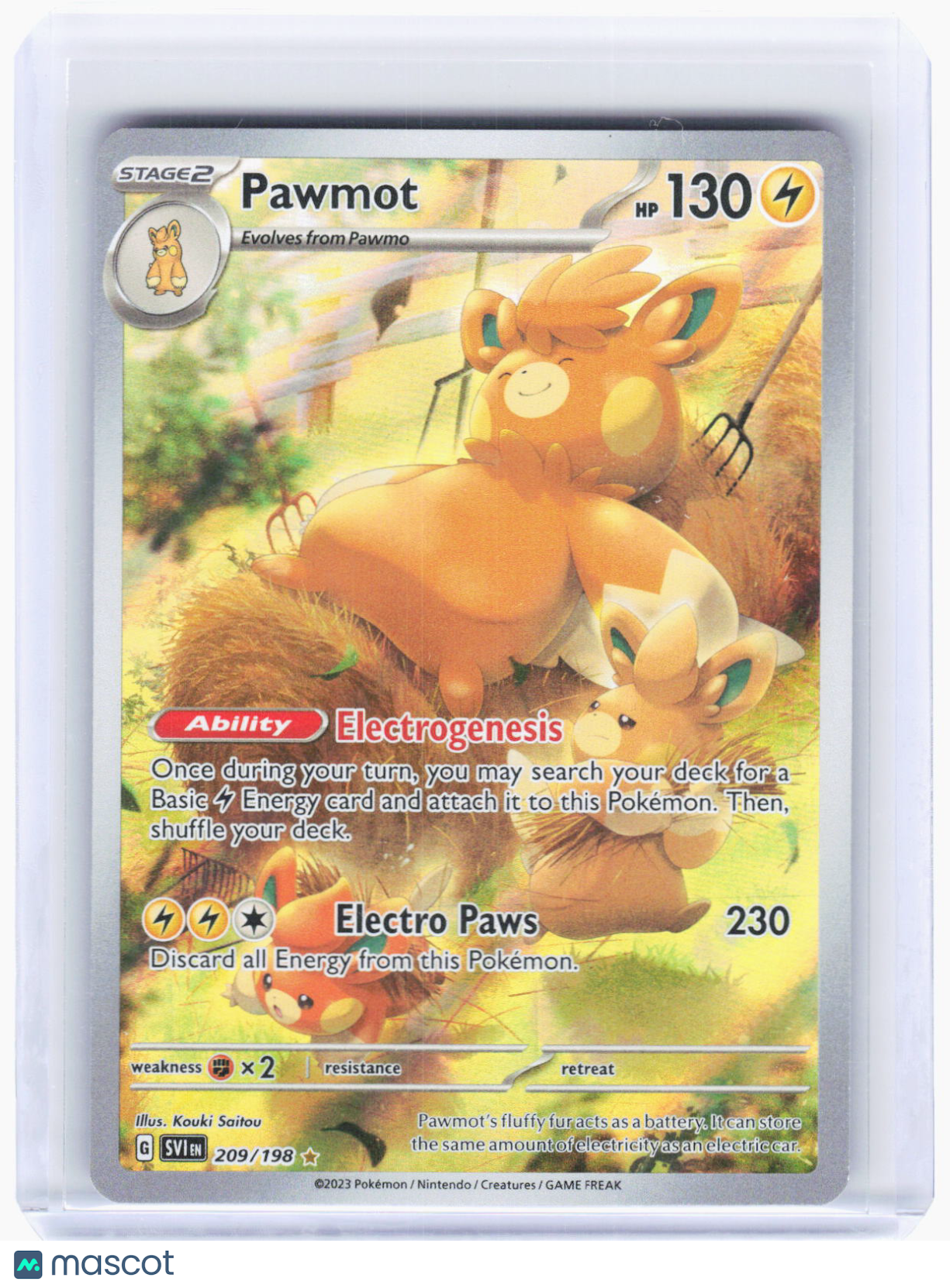 2023 Pokemon—Pawmot #209/198 Scarlet & Violet Base Set—Illustration Rare Foil