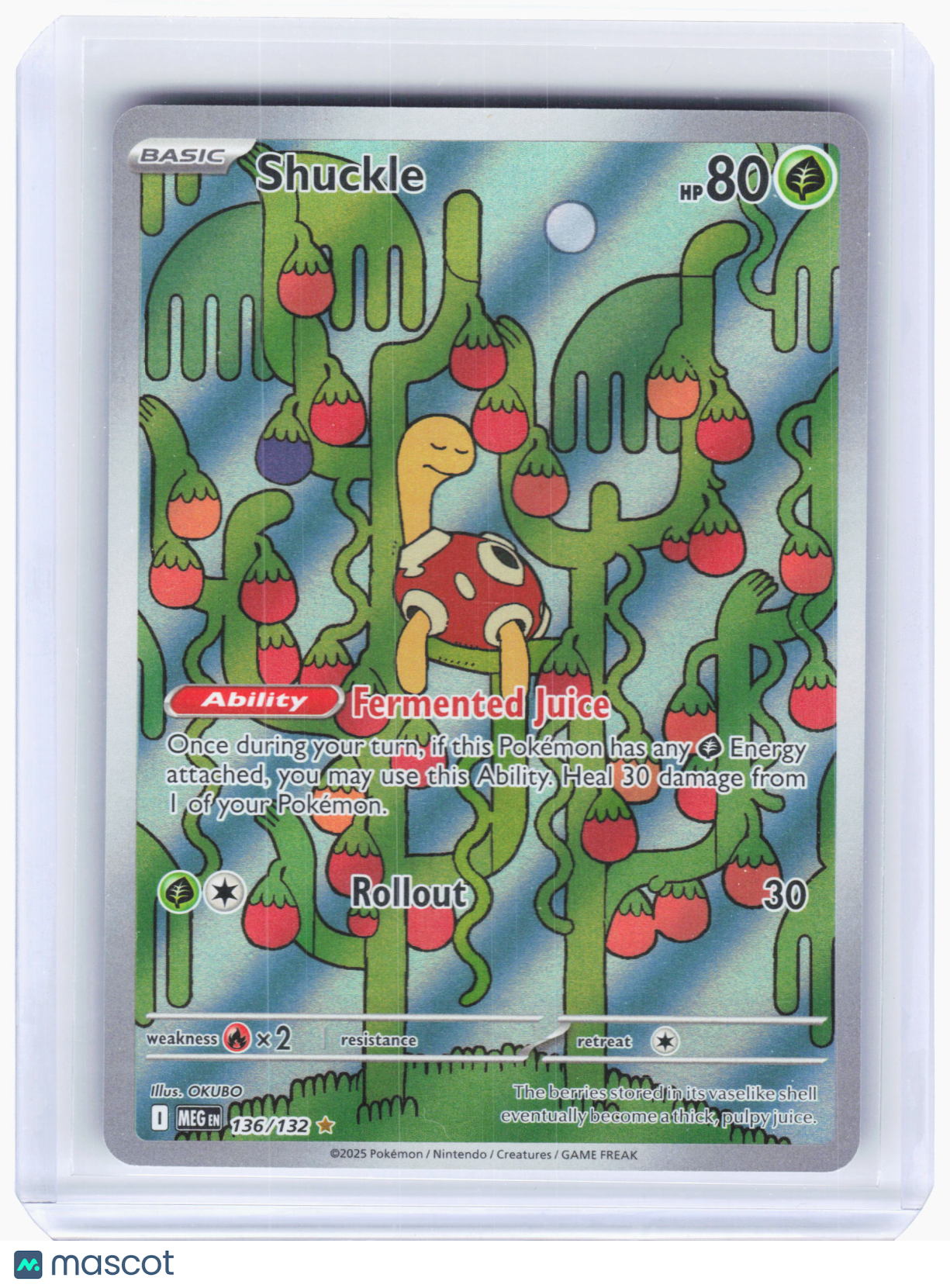 2025 Pokemon—Shuckle #136/132 Mega Evolution—Illustration Rare Holo