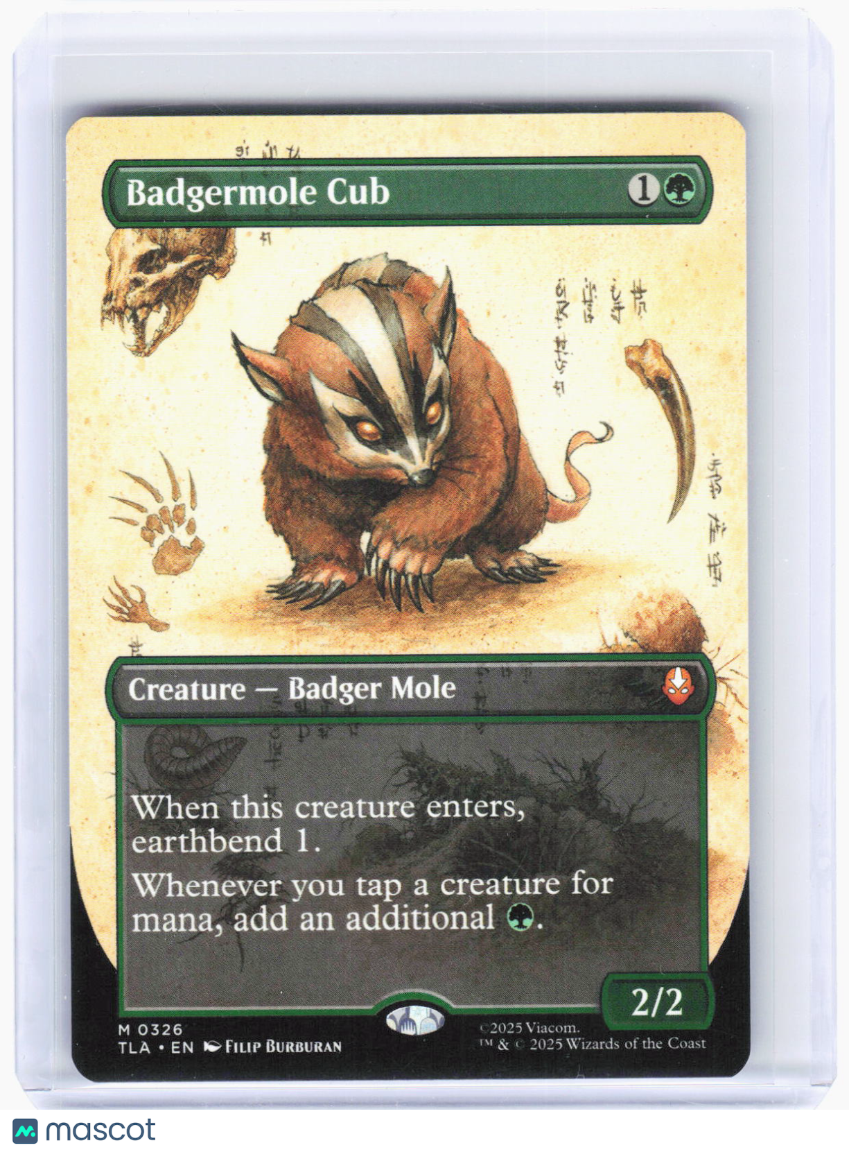 2025 Magic: The Gathering—Badgermole Cub (Borderless) #326 (TLA)—Mythic Non-Foil