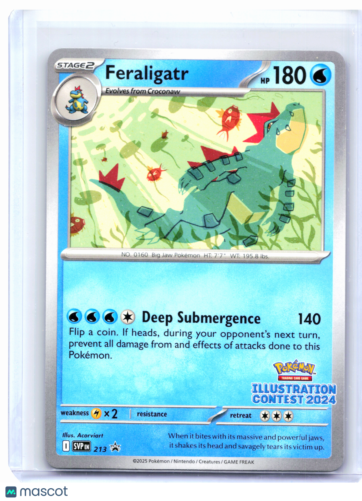 2025 Pokemon—Feraligatr (Illustration Contest 2024) #213 SVP—Promo Nonholo