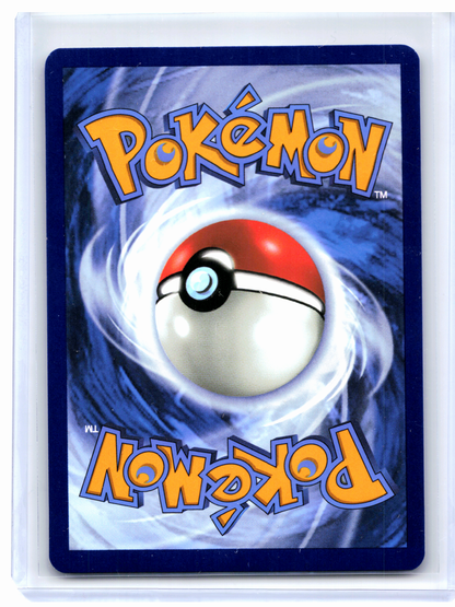 2025 Pokemon—Feraligatr (Illustration Contest 2024) #213 SVP—Promo Nonholo