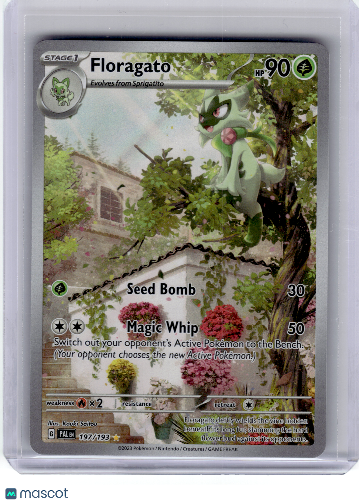 2023 Pokemon—Floragato #197 Paldea Evolved—Illustration Rare Holo
