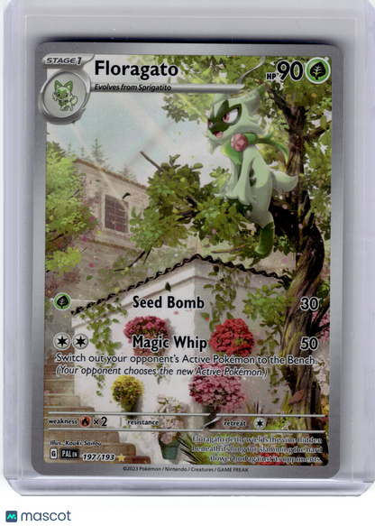 2023 Pokemon—Floragato #197 Paldea Evolved—Illustration Rare Holo