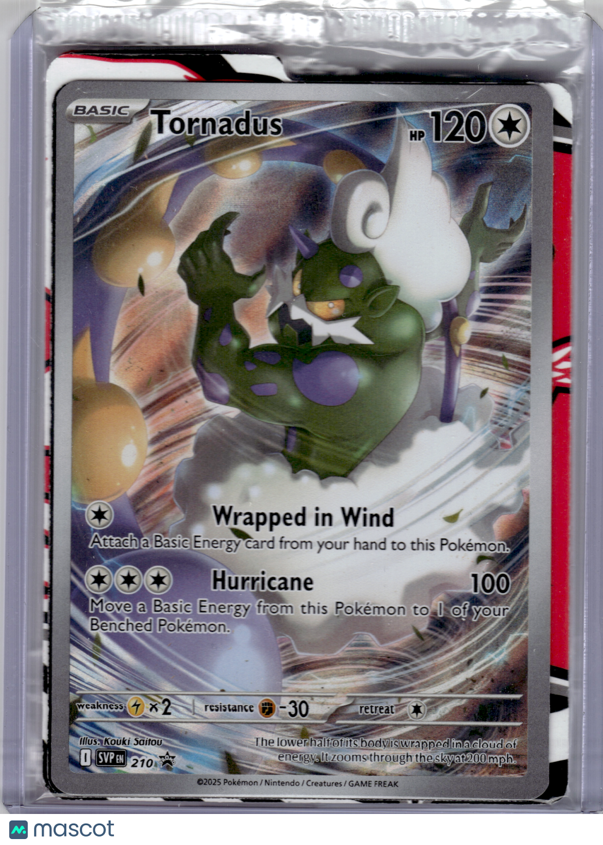 2025 Pokemon—Tornadus #210 Scarlet & Violet Promo—Black Star Promo Holo