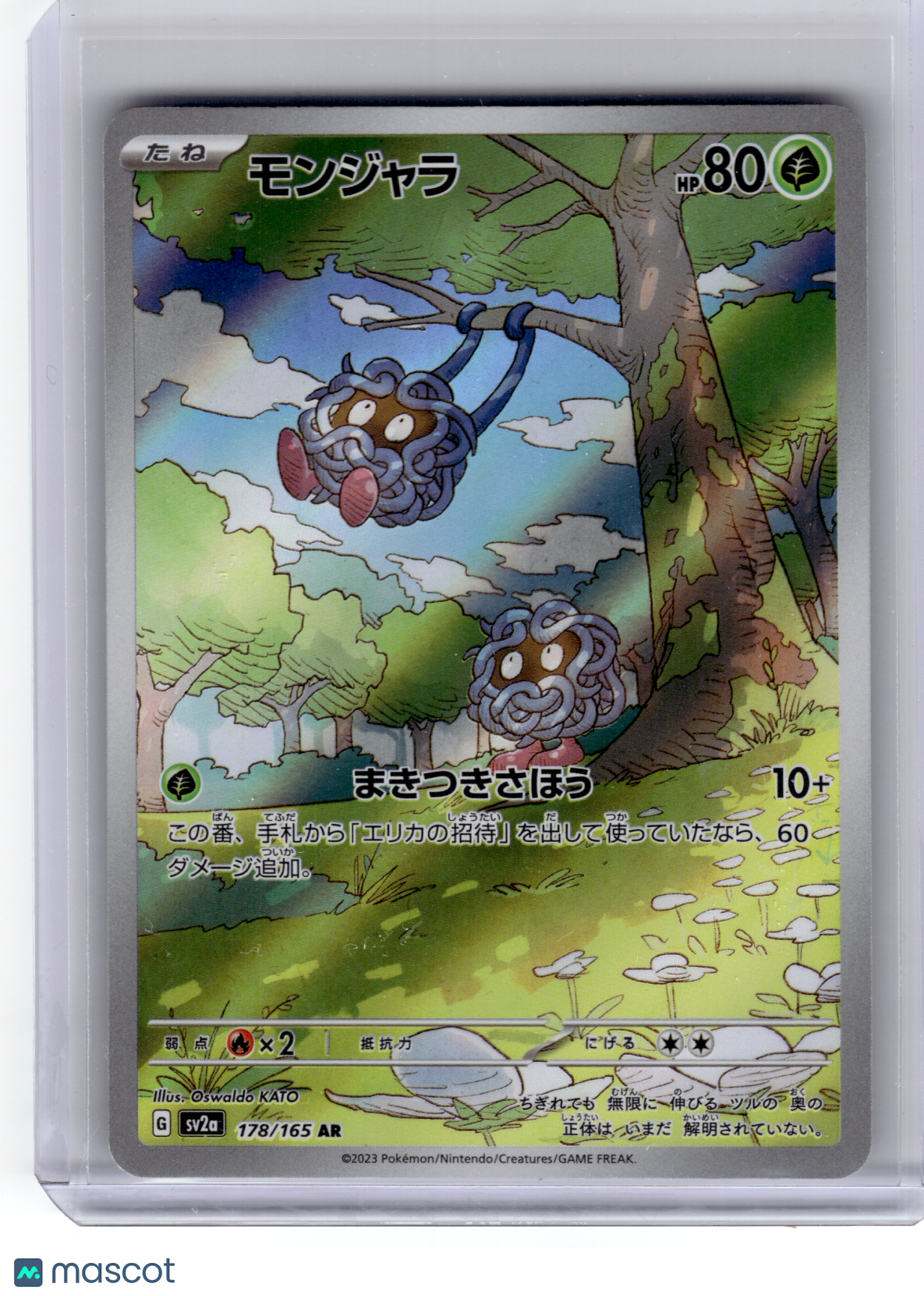 2023 —Tangela #178 Pokemon Card 151—Art Rare Holo Japanese