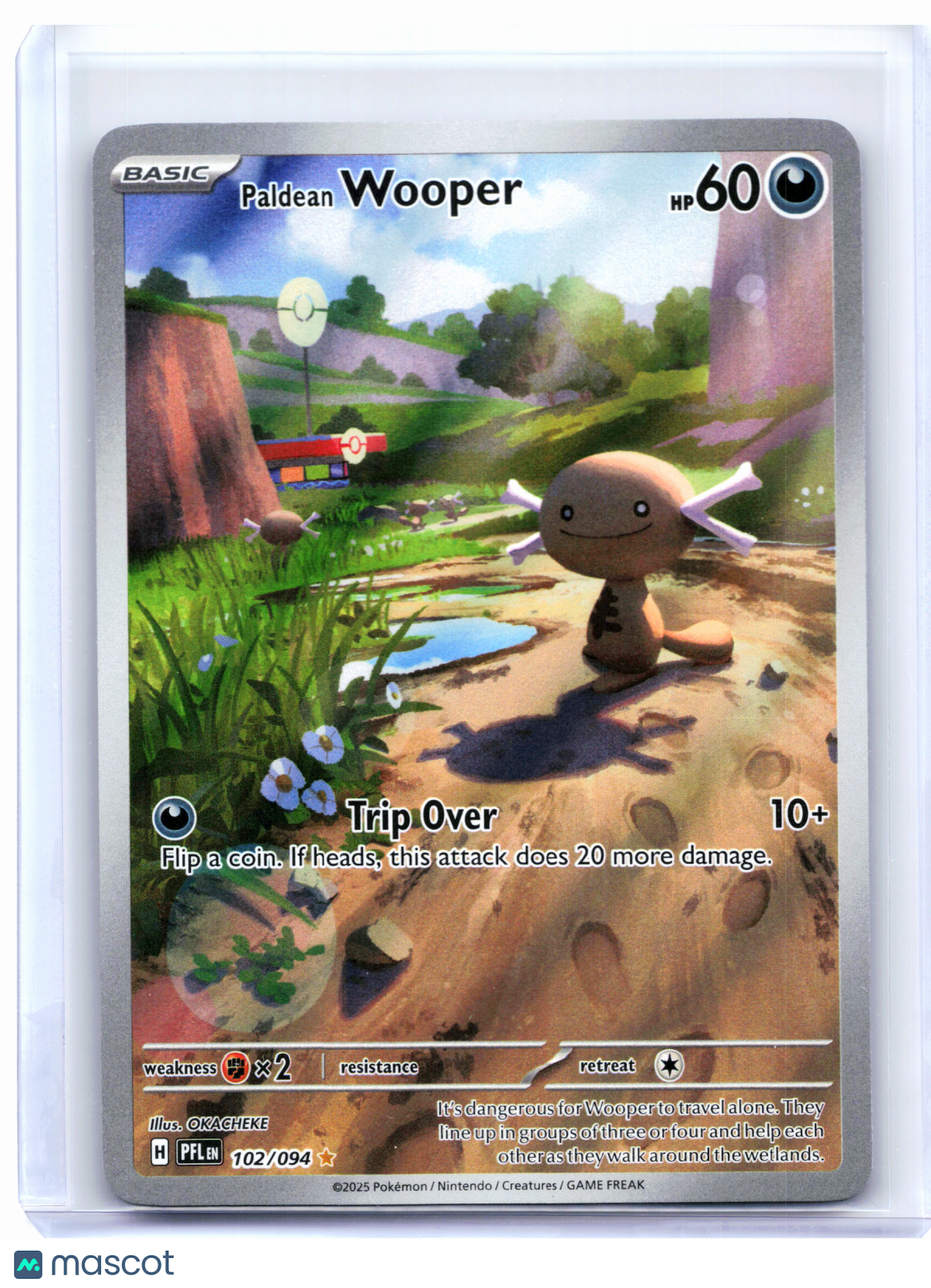 2025 Pokemon—Paldean Wooper #102/094 Phantasmal Flames—Illustration Rare Holo