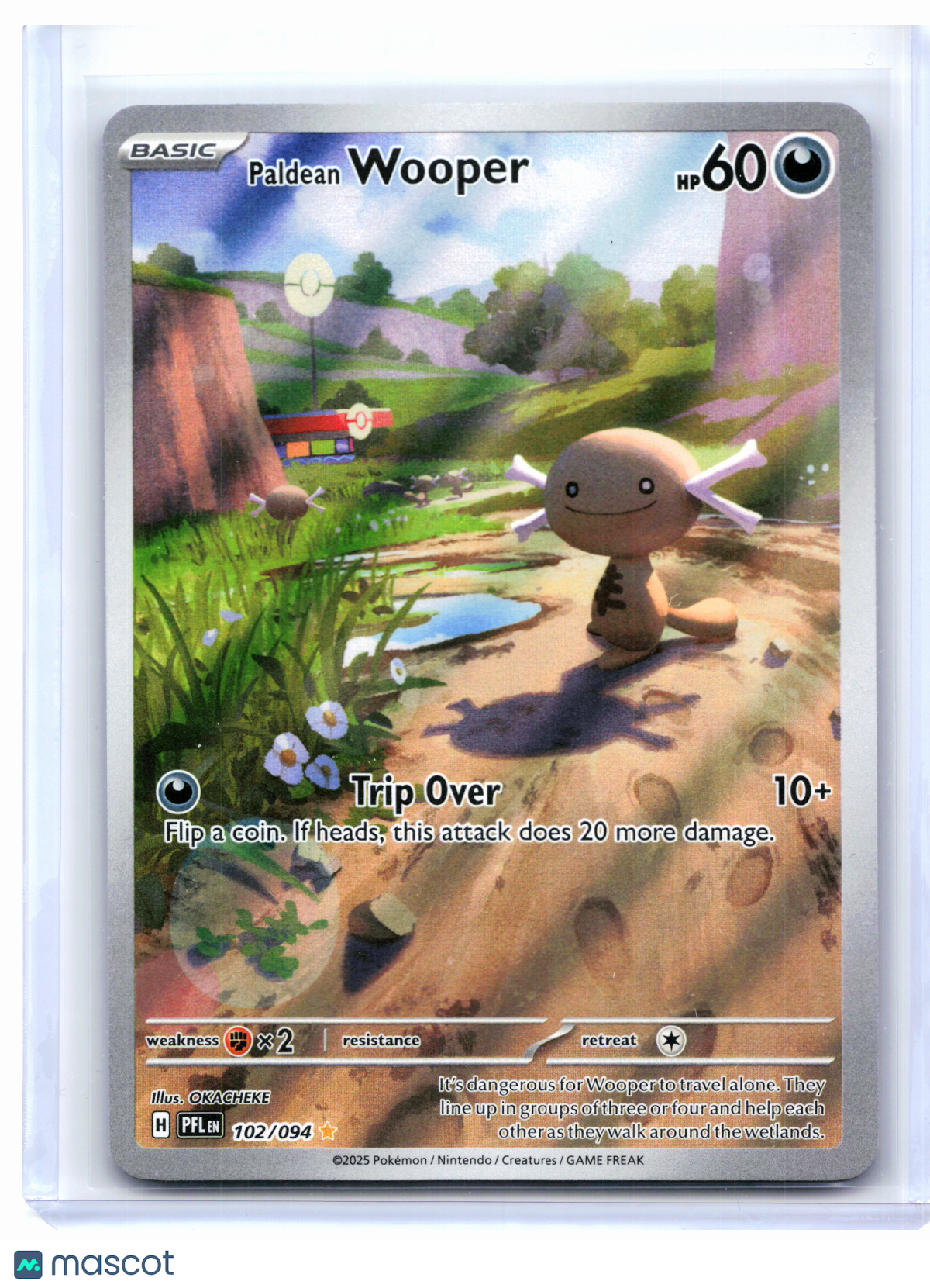 2025 Pokemon—Paldean Wooper #102/094 Phantasmal Flames—Illustration Rare Holo
