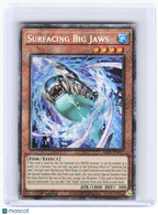 2024 YuGiOh!—Surfacing Big Jaws #ROTA-EN001 (ROTA)—QCSR Foil 1st ED