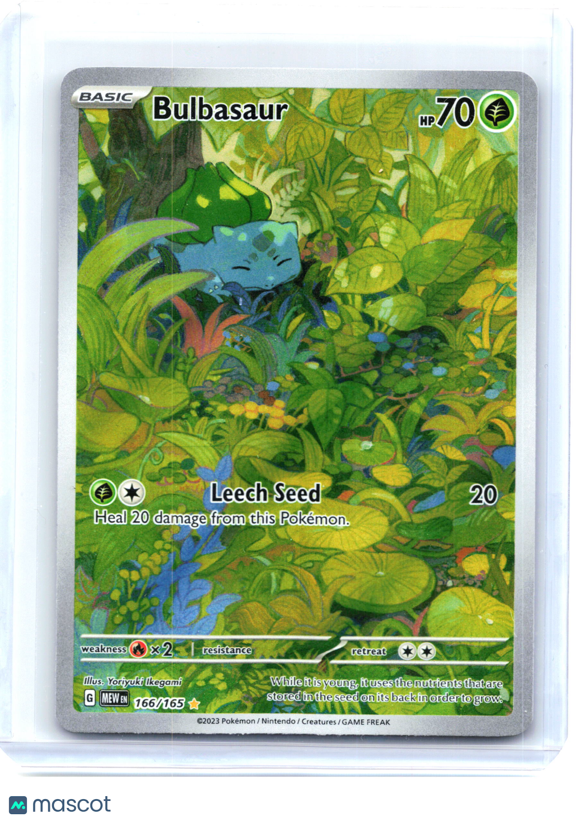 2023 Pokemon—Bulbasaur #166/165 Scarlet & Violet 151—Illustration Rare Holo [LP]
