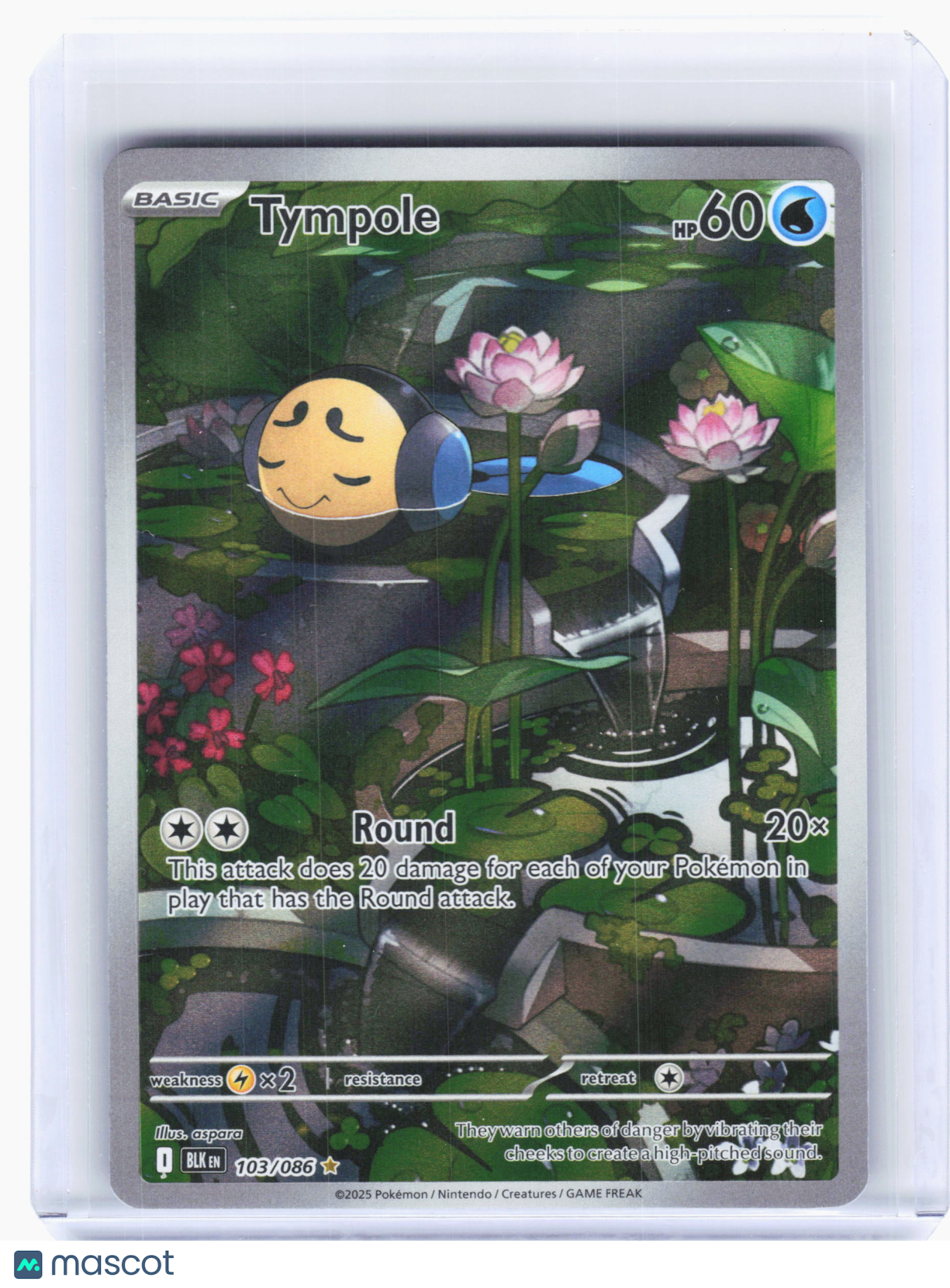 2025 Pokemon—Tympole #103 Black Bolt—Illustration Rare Holo