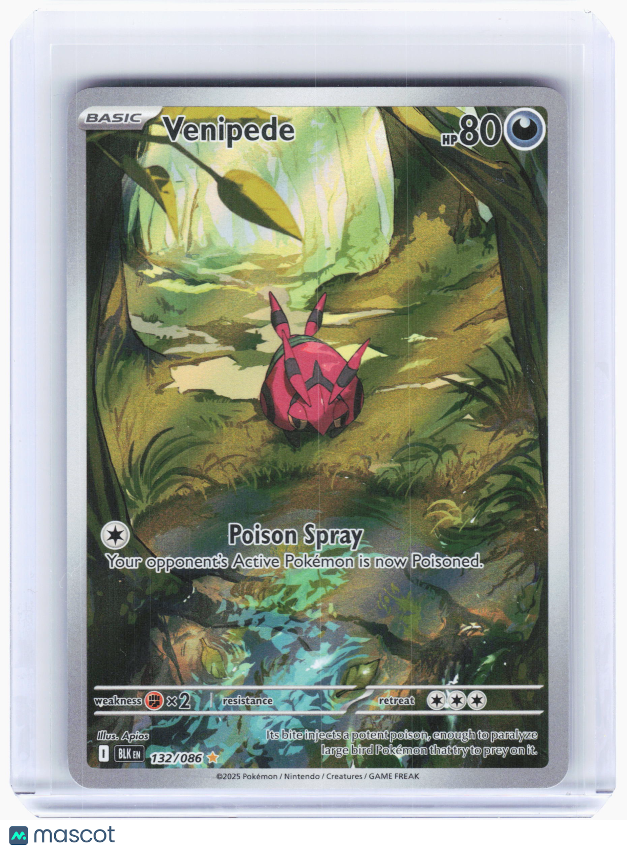2025 Pokemon—Venipede #132 Black Bolt—Illustration Rare Holo