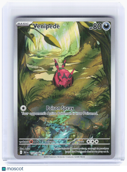 2025 Pokemon—Venipede #132 Black Bolt—Illustration Rare Holo