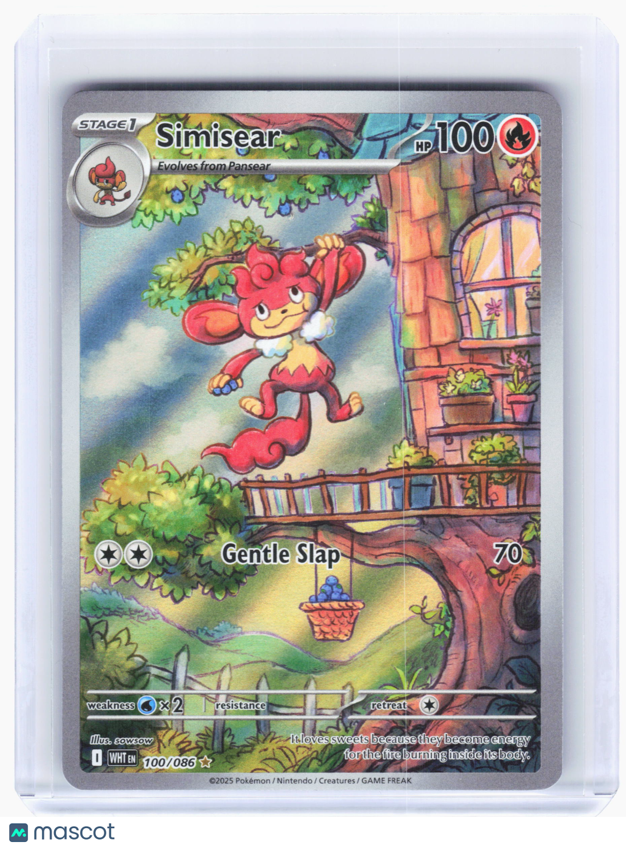 2025 Pokemon—Simisear #100 White Flare—Illustration Rare Holo