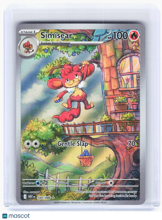 2025 Pokemon—Simisear #100 White Flare—Illustration Rare Holo