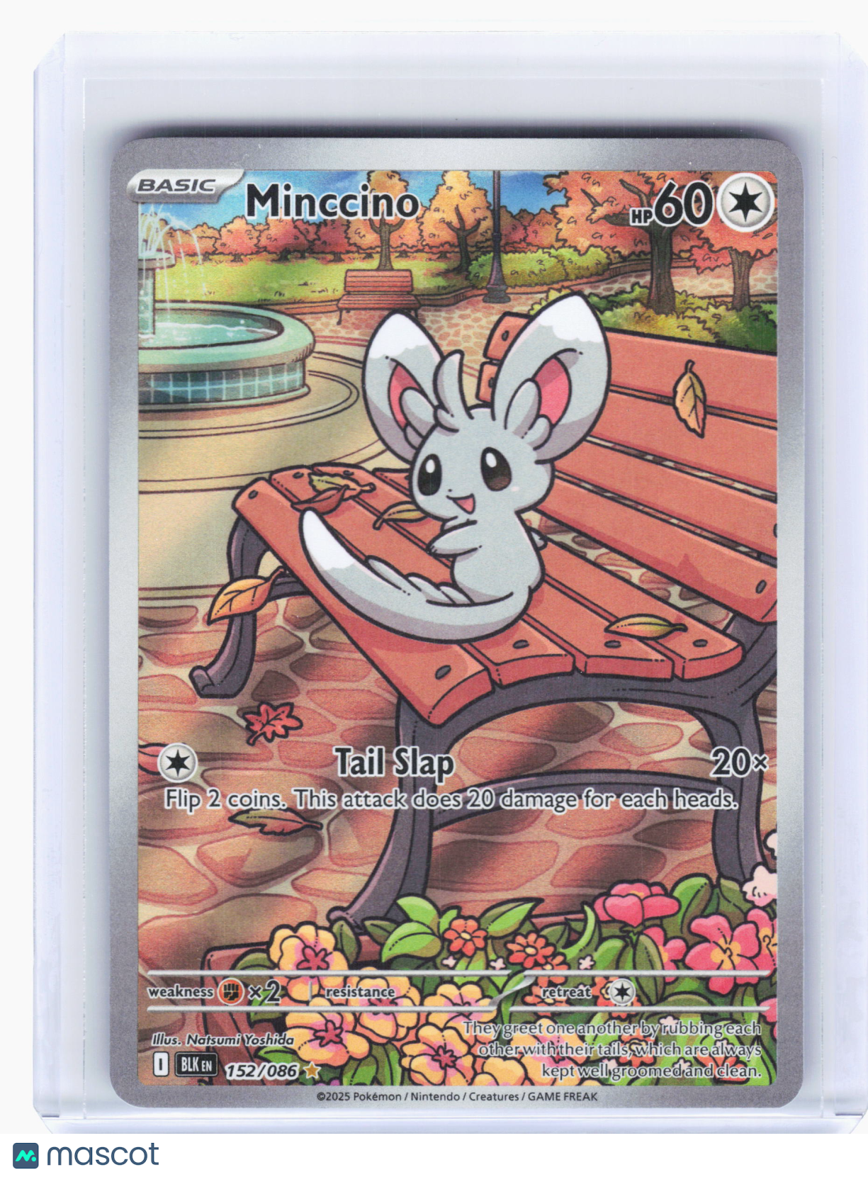 2025 Pokemon—Minccino #152 Black Bolt—Illustration Rare Holo