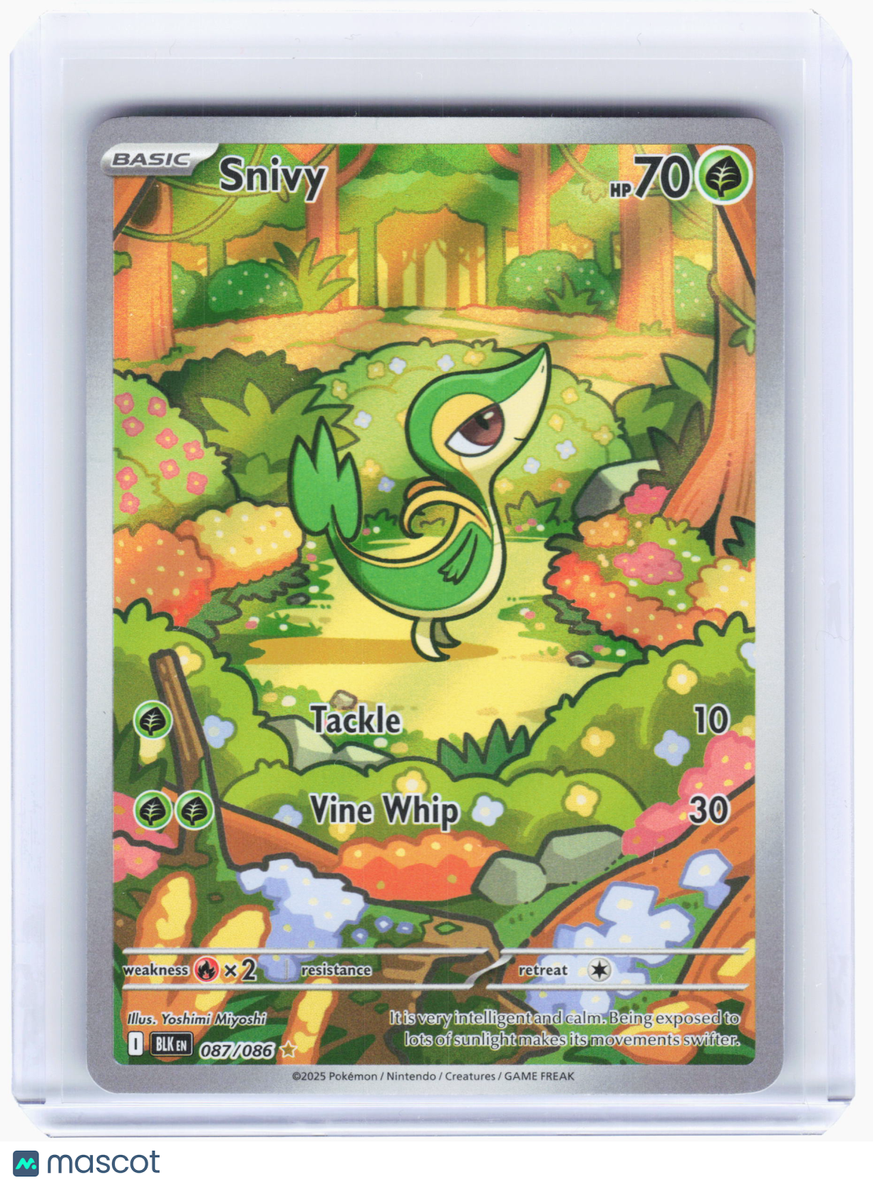 2025 Pokemon—Snivy #87 Black Bolt—Illustration Rare Holo