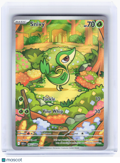 2025 Pokemon—Snivy #87 Black Bolt—Illustration Rare Holo