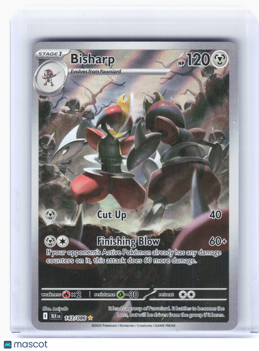 2025 Pokemon—Bisharp #143 Black Bolt—Illustration Rare Holo