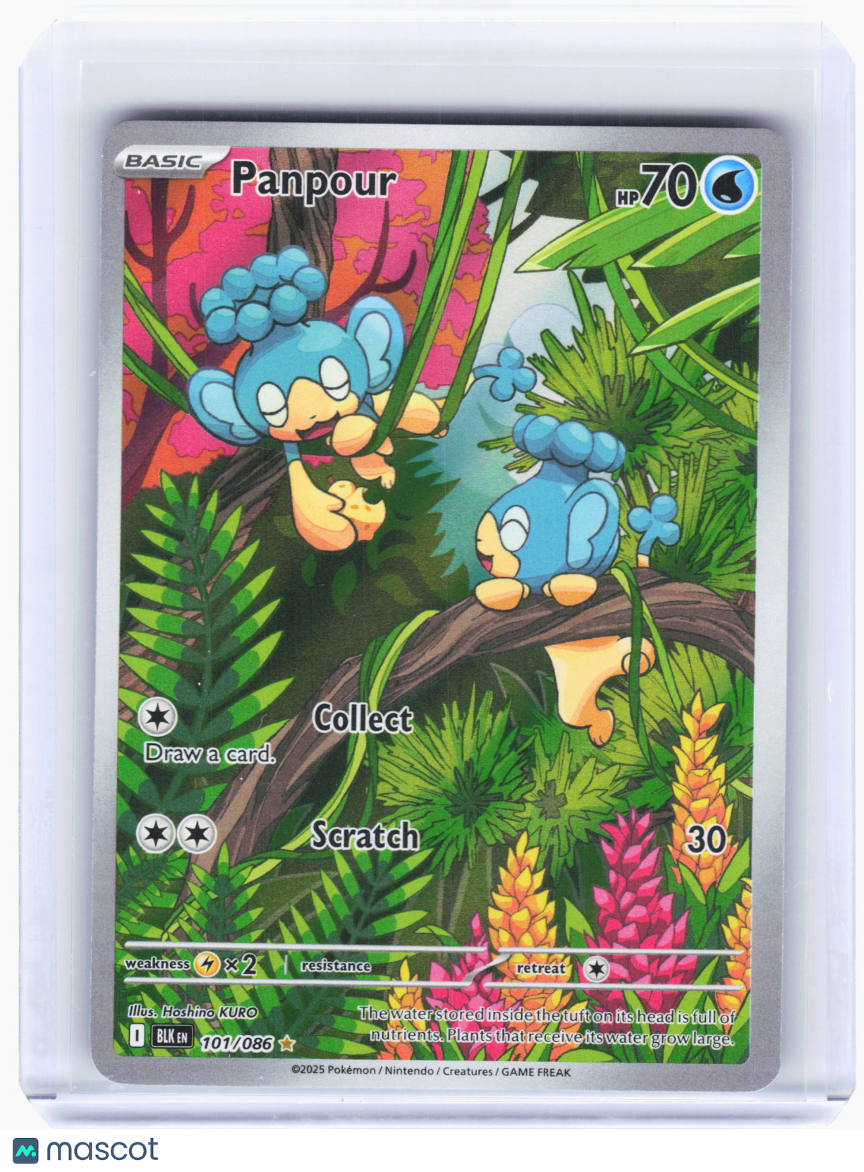 2025 Pokemon—Panpour #101 Black Bolt—Illustration Rare Holo