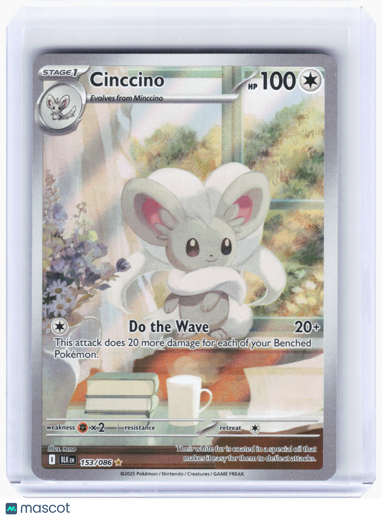 2025 Pokemon—Cinccino #153 Black Bolt—Illustration Rare Holo