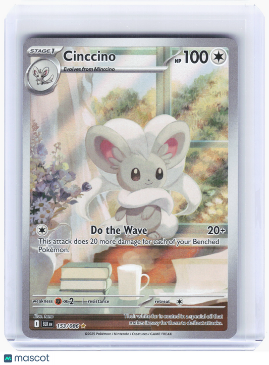 2025 Pokemon—Cinccino #153 Black Bolt—Illustration Rare Holo