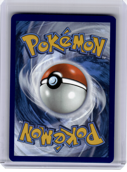 2025 Pokemon—Tornadus #210 Scarlet & Violet—Black Star Promo Holo (Poke. Center)