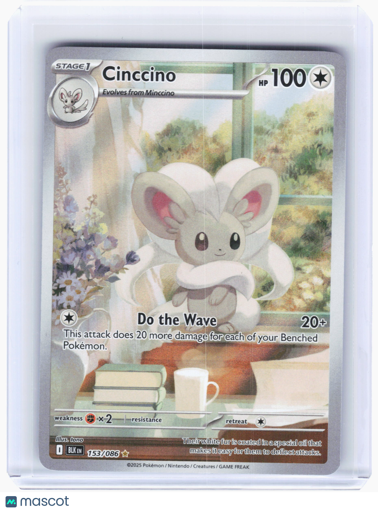 2025 Pokemon—Cinccino #153 Black Bolt—Illustration Rare Holo