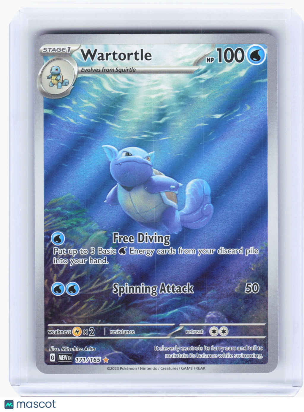 2023 Pokemon—Wartortle #171 Scarlet & Violet 151—Illustration Rare Holo