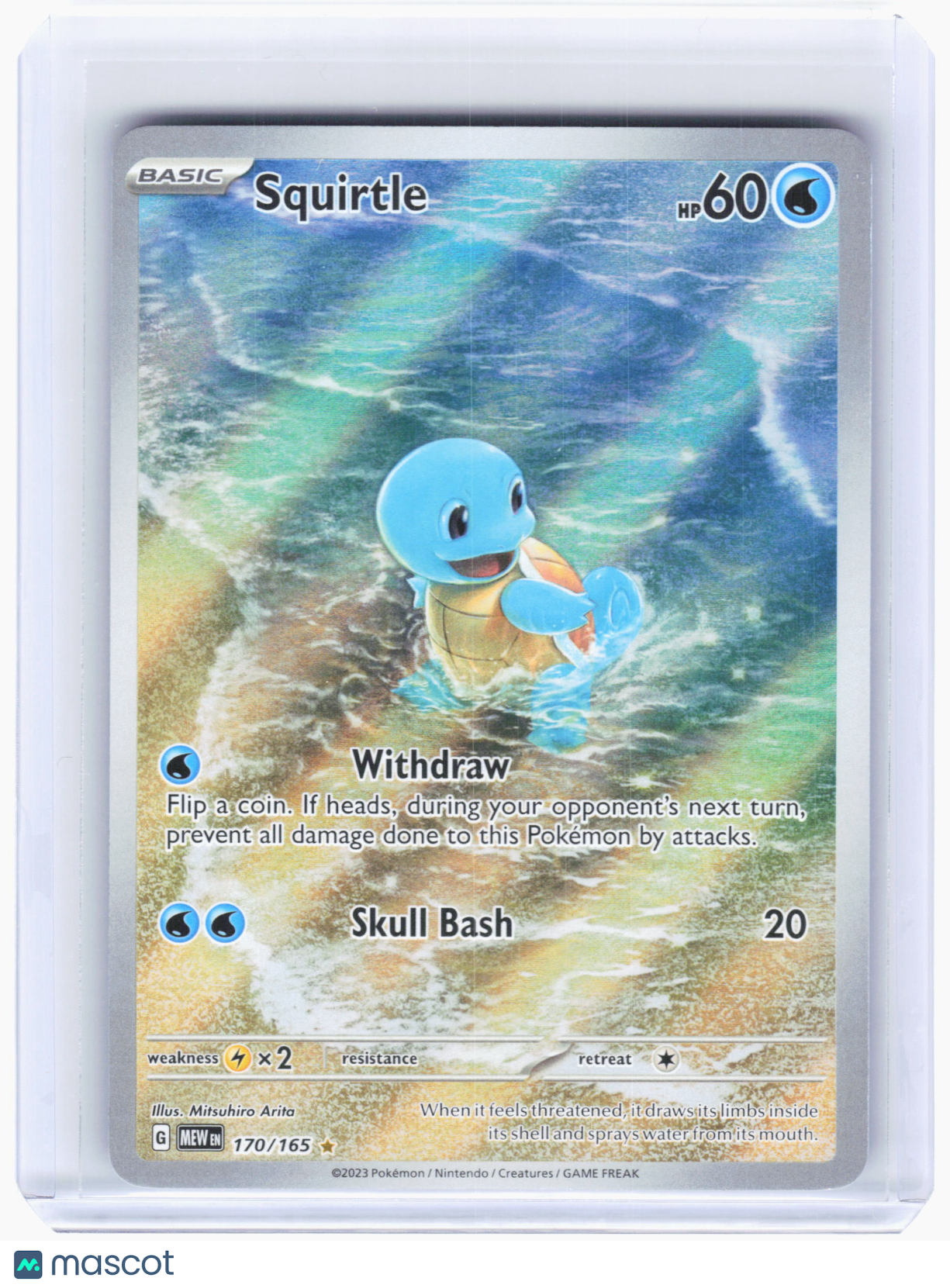 2023 Pokemon—Squirtle #170 Scarlet & Violet 151—Illustration Rare Holo
