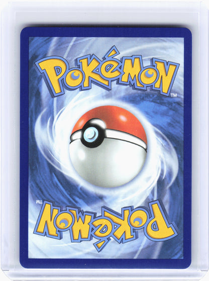 2026 Pokemon—Mightyena #243 Ascended Heroes—Illustration Rare Holo