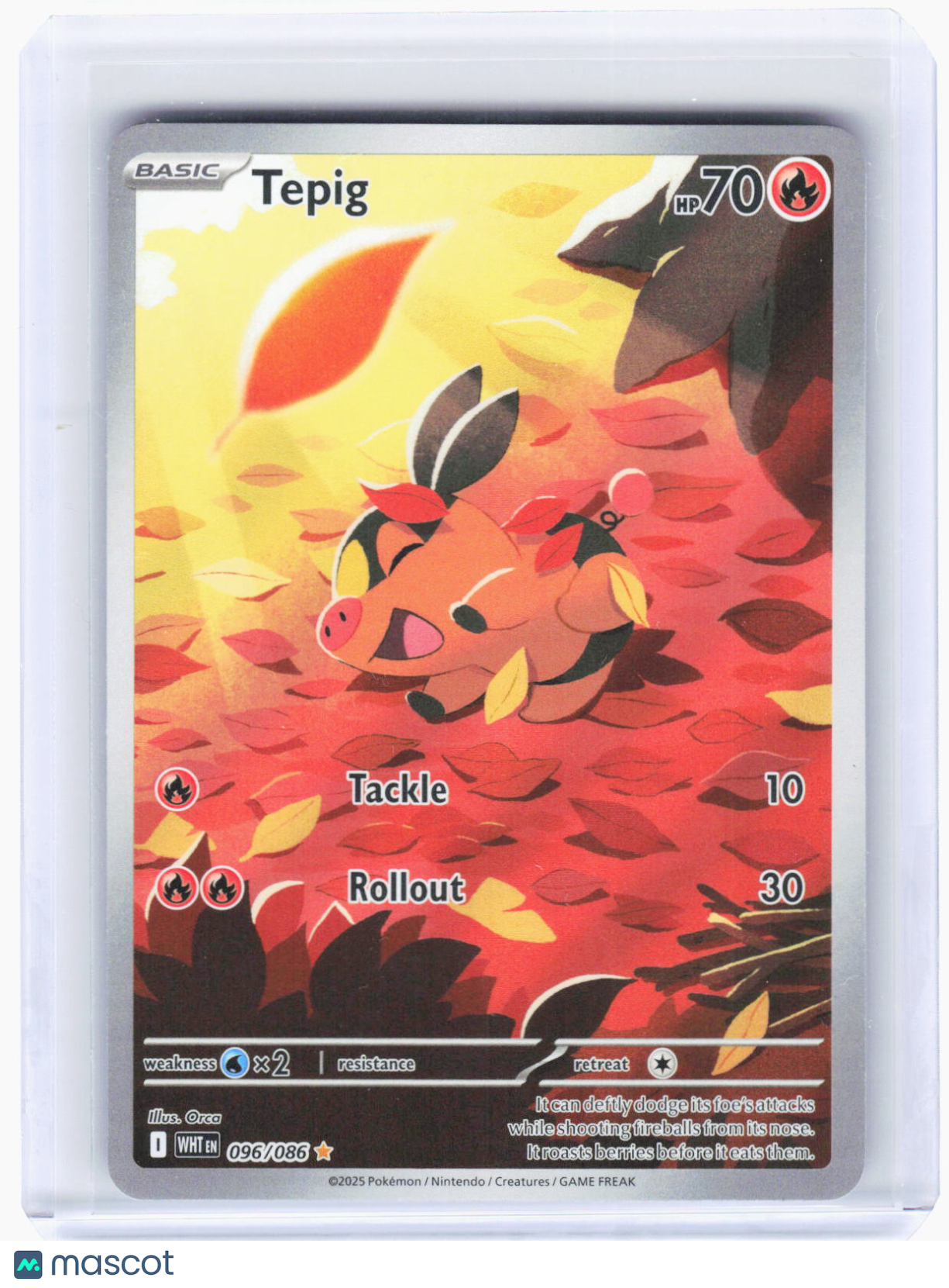 2025 Pokemon—Tepig #96/86 White Flare—Illustration Rare Foil