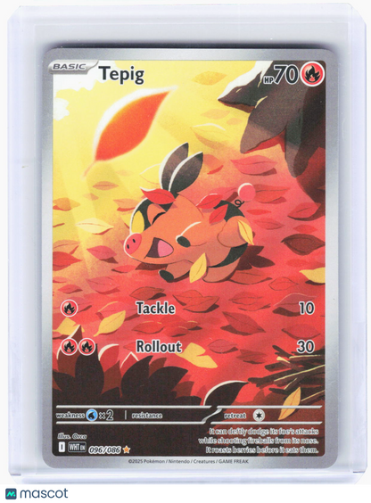 2025 Pokemon—Tepig #96/86 White Flare—Illustration Rare Foil