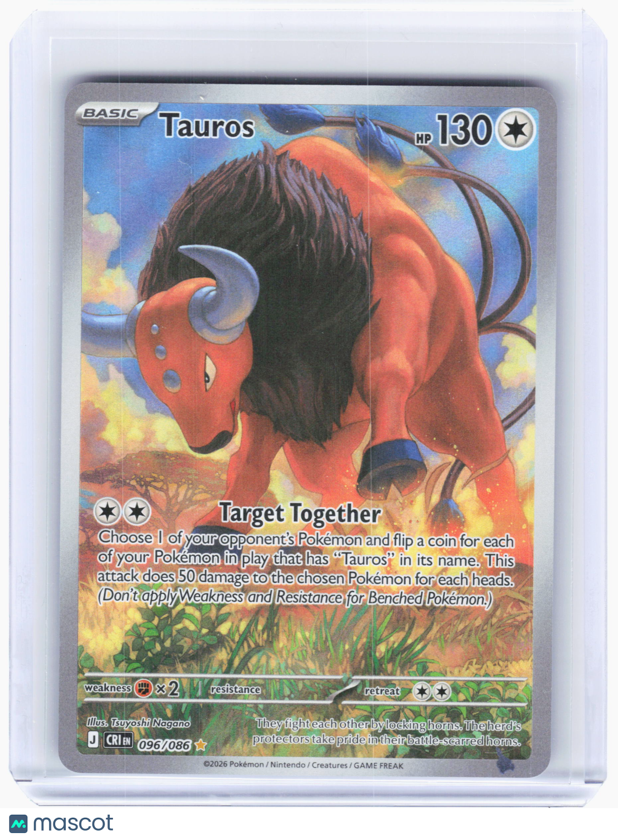 2026 Pokemon—Tauros #96 Chaos Rising—Illustration Rare Holo
