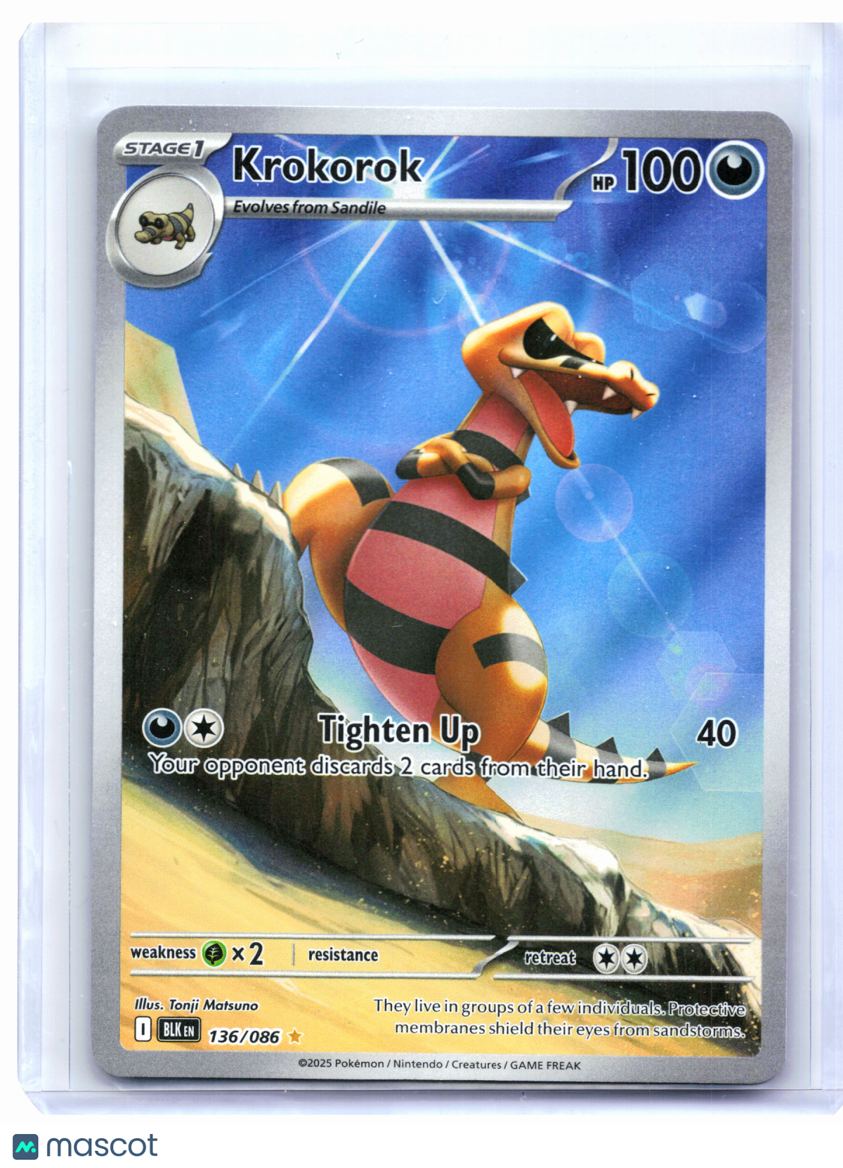 2025 Pokemon—Krokorok #136/086 Black Bolt—Illustration Rare Holo