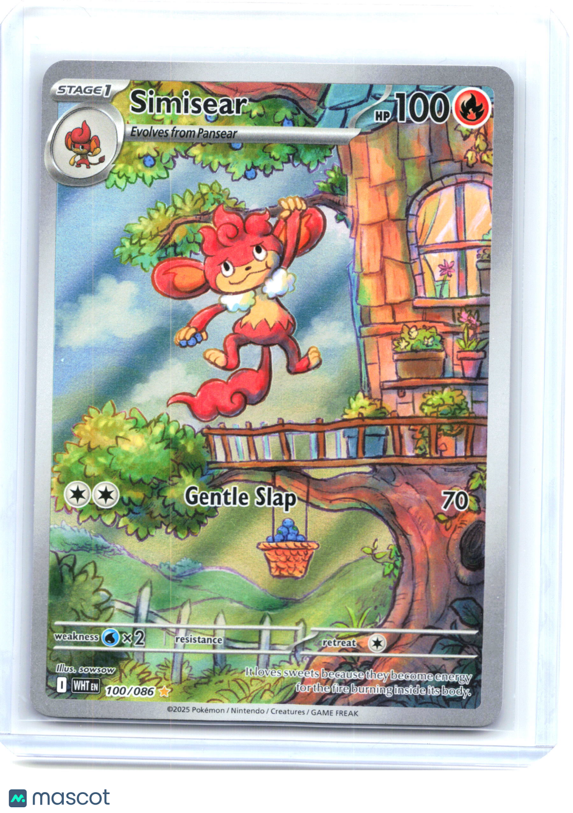 2025 Pokemon—Simisear #100/86 White Flare—Illustration Rare Holo
