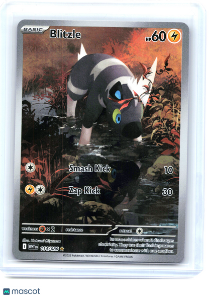 2025 Pokemon—Blitzle #114/86 White Flare—Illustration Rare Holo