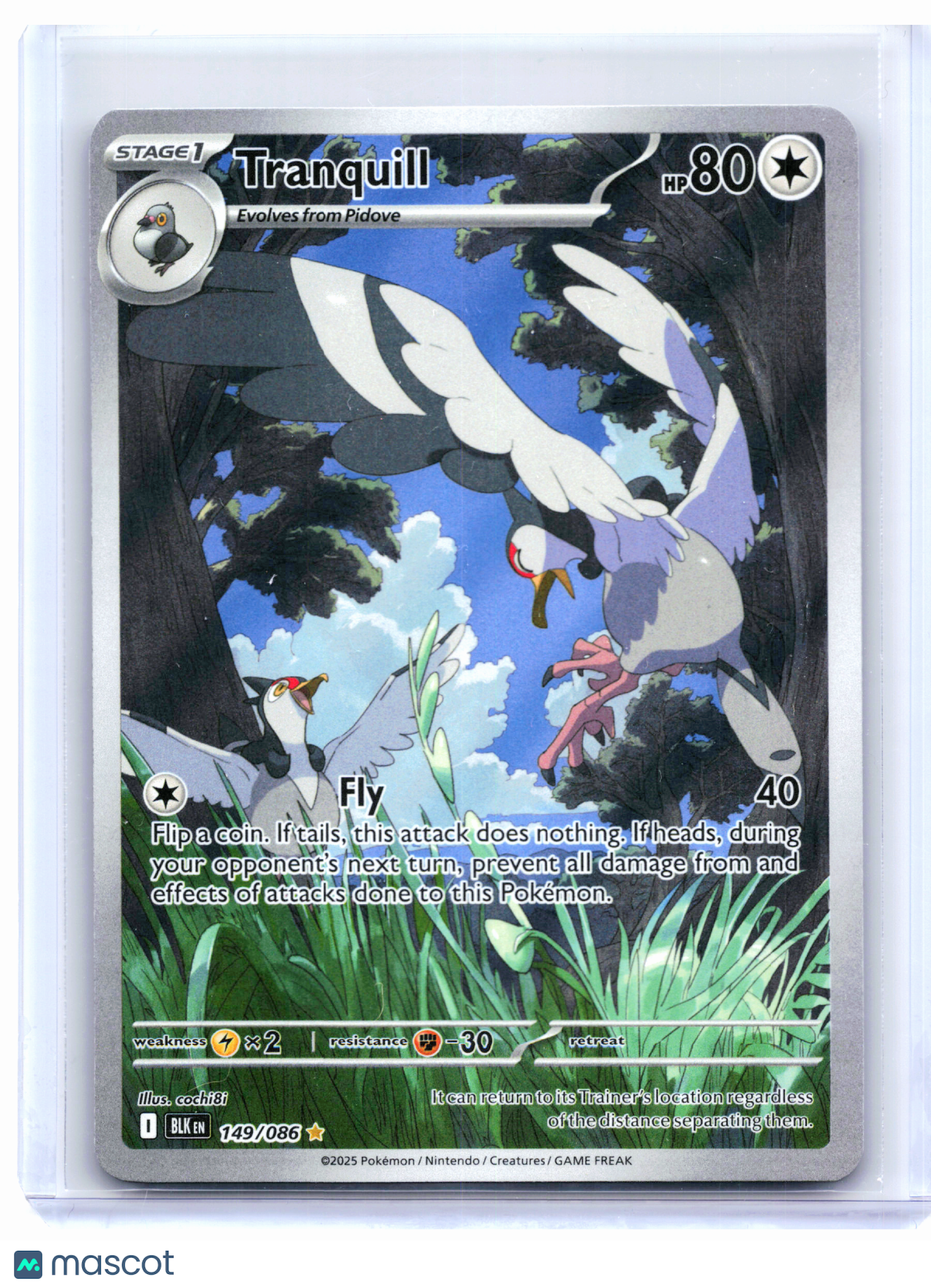 2025 Pokemon—Tranquill #149/086 Black Bolt—Illustration Rare Holo