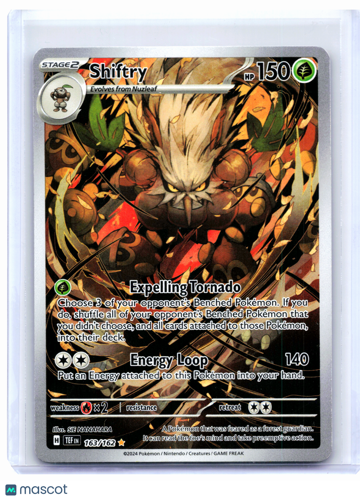 2024 Pokemon—Shiftry #163/162 Temporal Forces—Illustration Rare [Lightly Played]
