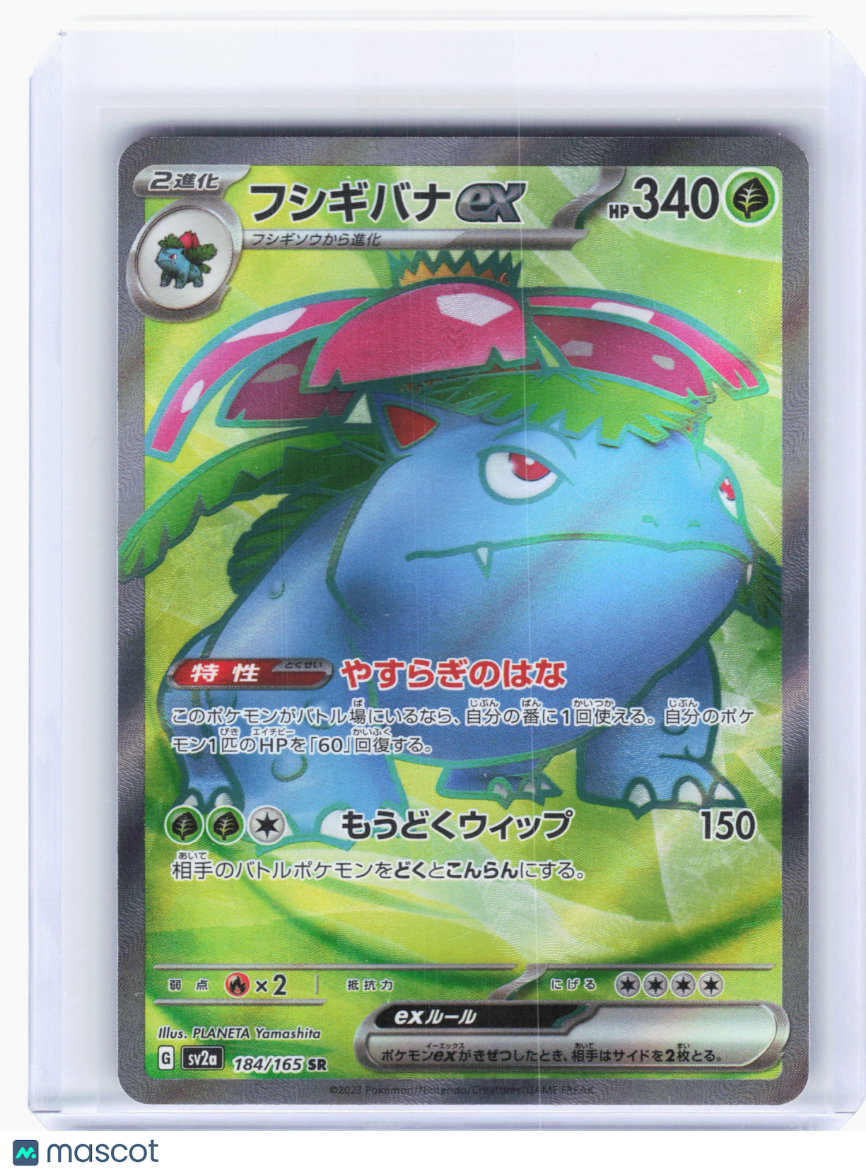 2023 —Venusaur ex #184 Pokemon Card 151—Super Rare Holo Japanese