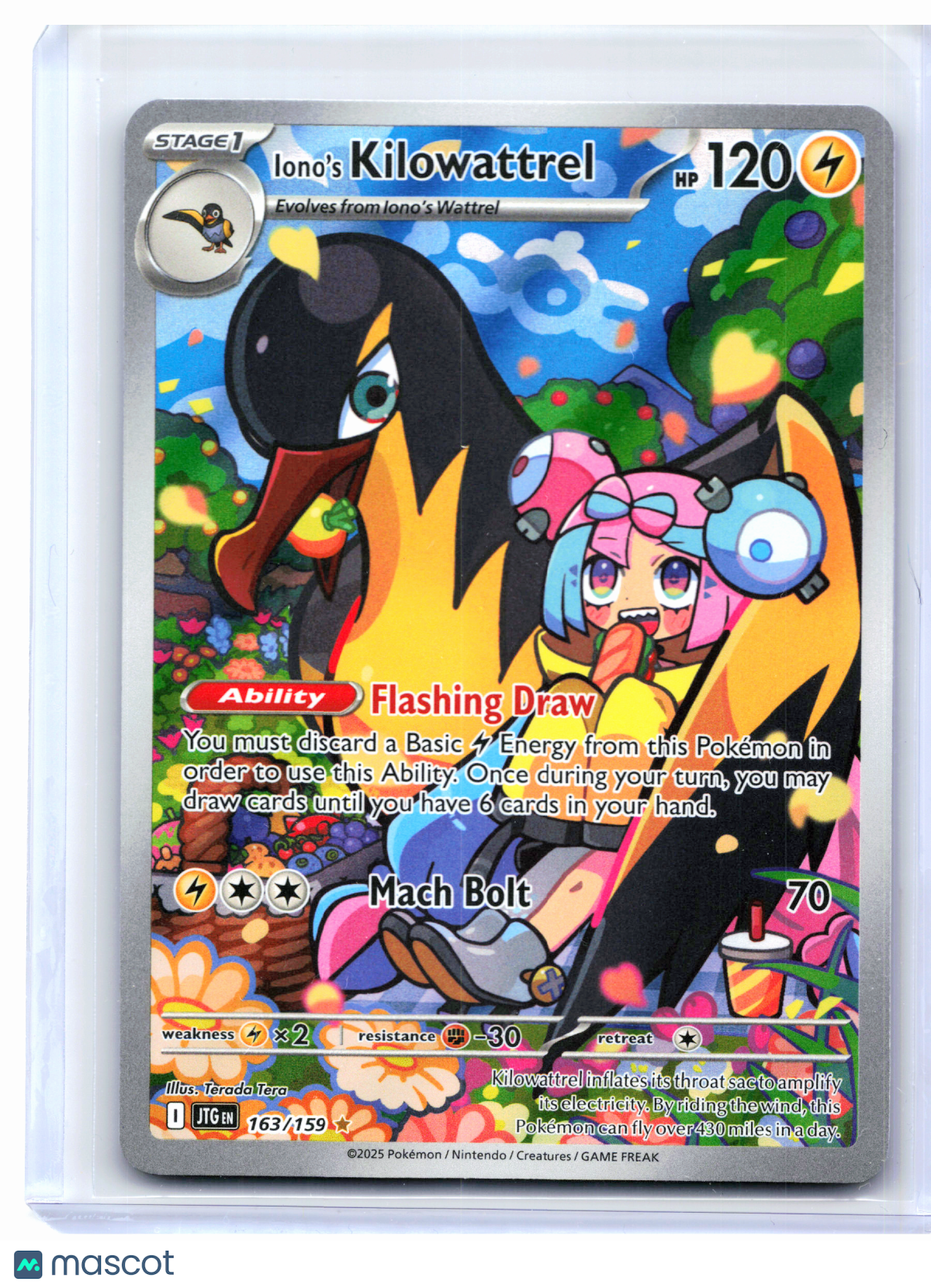2025 Pokemon—Iono's Kilowattrel #163/159 Journey Together—Illustration Rare Holo