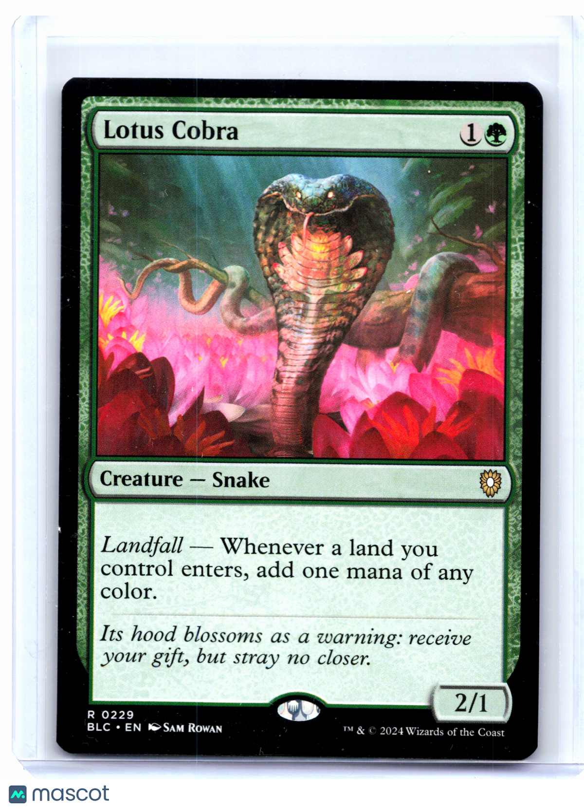 2024 Magic: The Gathering—Lotus Cobra #0229 Bloomburrow Commander—Rare Nonfoil