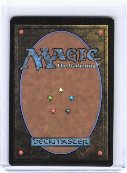 2025 Magic: The Gathering—Nature's Rhythm (Borderless) #349 (TDM)—Rare Non-Foil