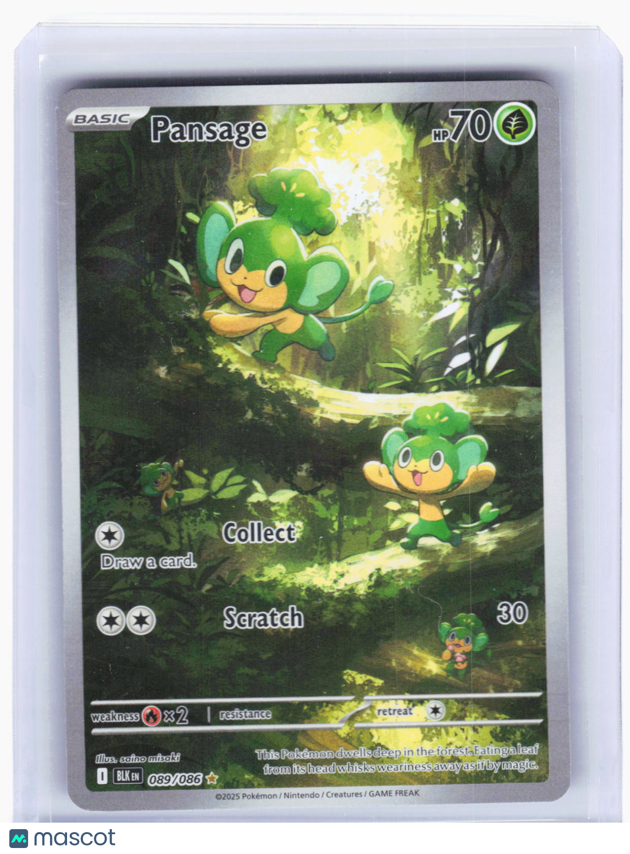 2025 Pokemon—Pansage #89 Black Bolt—Illustration Rare Holo