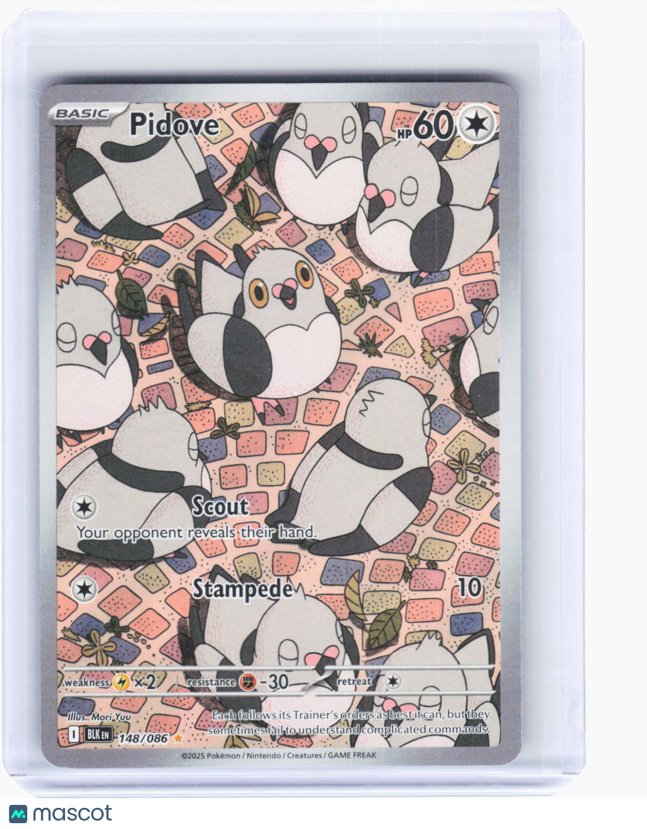 2025 Pokemon—Pidove #148 Black Bolt—Illustration Rare Holo